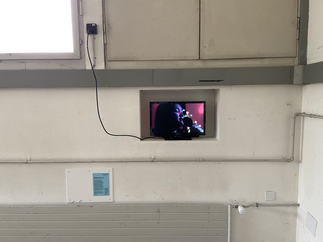 VIDEO WINDOW, Ausstellungsbeitrag: Quynh Dong, Karaoke Night, 2009