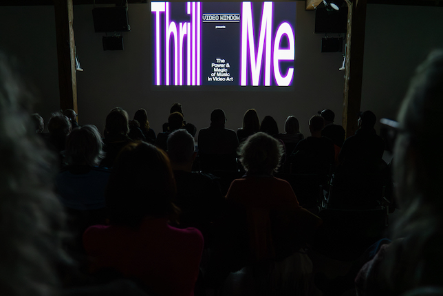 VIDEO WINDOW. Thrill Me, Art Space Walcheturm, Zurich, 18.11.23